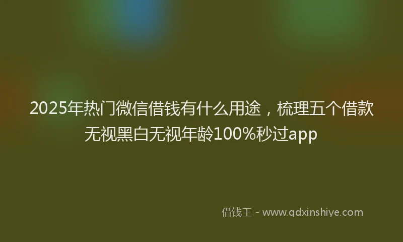 2025年热门微信借钱有什么用途，梳理五个借款无视黑白无视年龄100%秒过app
