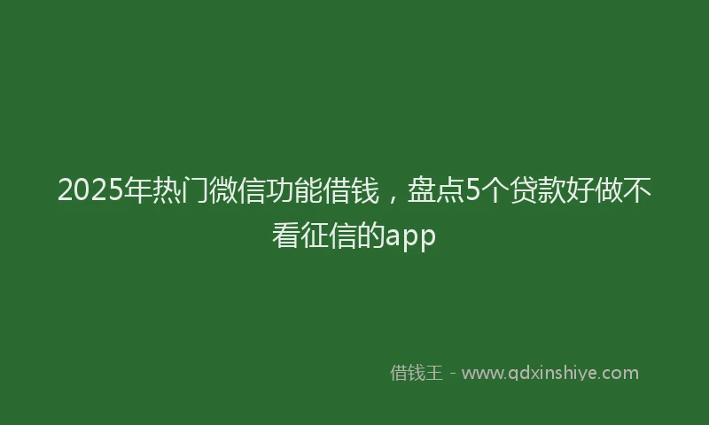 2025年热门微信功能借钱，盘点5个贷款好做不看征信的app