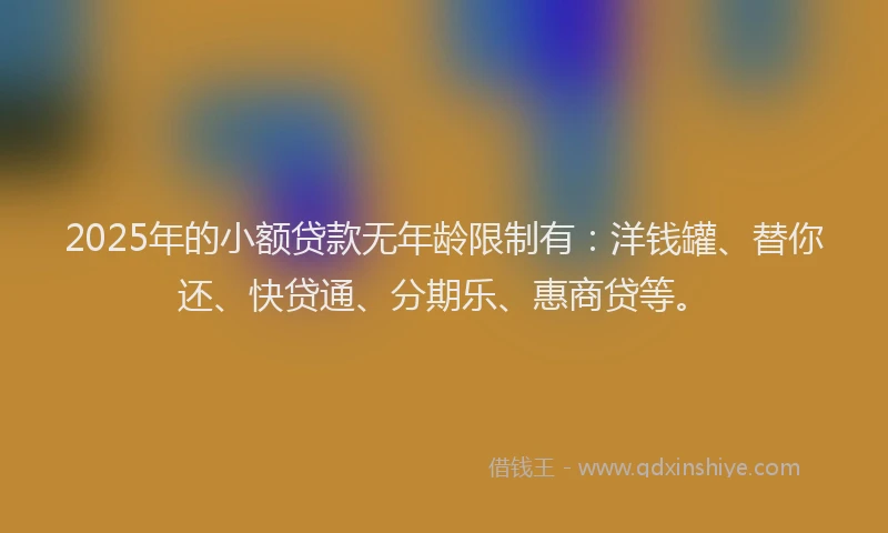 2025年的小额贷款无年龄限制有：洋钱罐、替你还、快贷通、分期乐、惠商贷等。