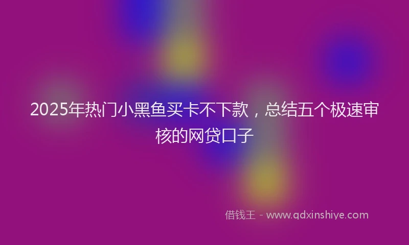 2025年热门小黑鱼买卡不下款，总结五个极速审核的网贷口子