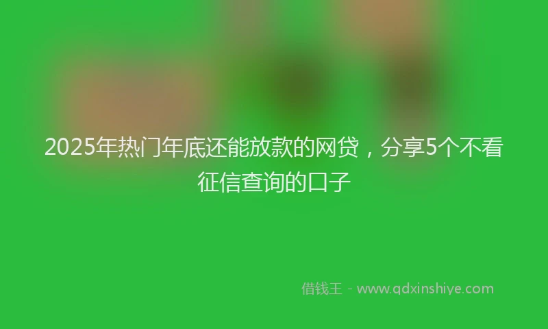 2025年热门年底还能放款的网贷，分享5个不看征信查询的口子