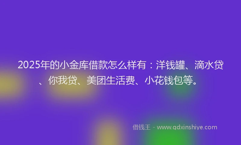 2025年的小金库借款怎么样有：洋钱罐、滴水贷、你我贷、美团生活费、小花钱包等。