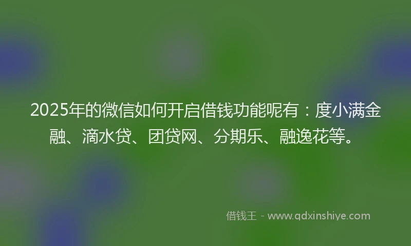 2025年的微信如何开启借钱功能呢有：度小满金融、滴水贷、团贷网、分期乐、融逸花等。