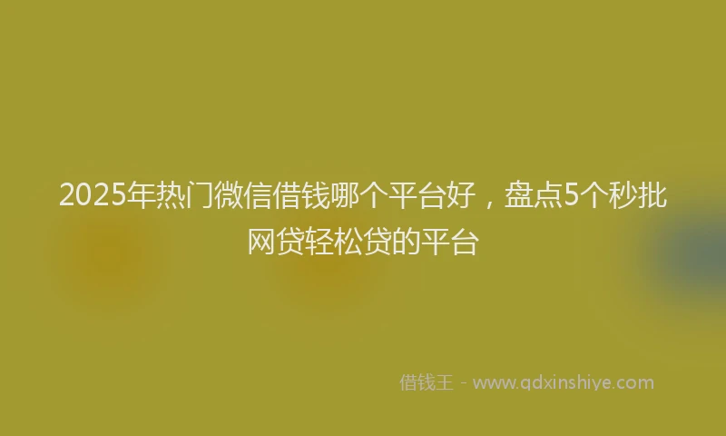 2025年热门微信借钱哪个平台好，盘点5个秒批网贷轻松贷的平台