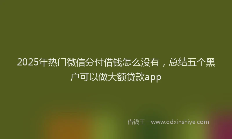 2025年热门微信分付借钱怎么没有，总结五个黑户可以做大额贷款app