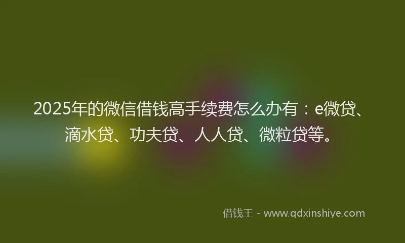 2025年的微信借钱高手续费怎么办有：e微贷、滴水贷、功夫贷、人人贷、微粒贷等。