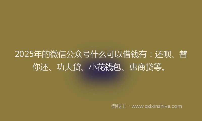 2025年的微信公众号什么可以借钱有：还呗、替你还、功夫贷、小花钱包、惠商贷等。