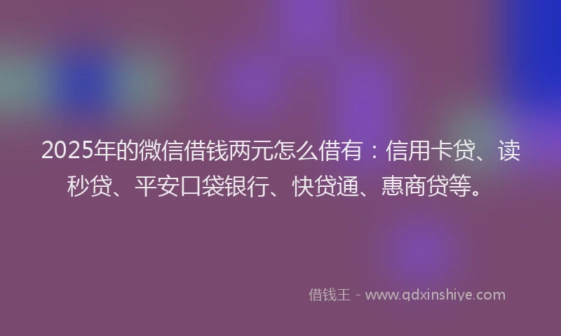 2025年的微信借钱两元怎么借有：信用卡贷、读秒贷、平安口袋银行、快贷通、惠商贷等。