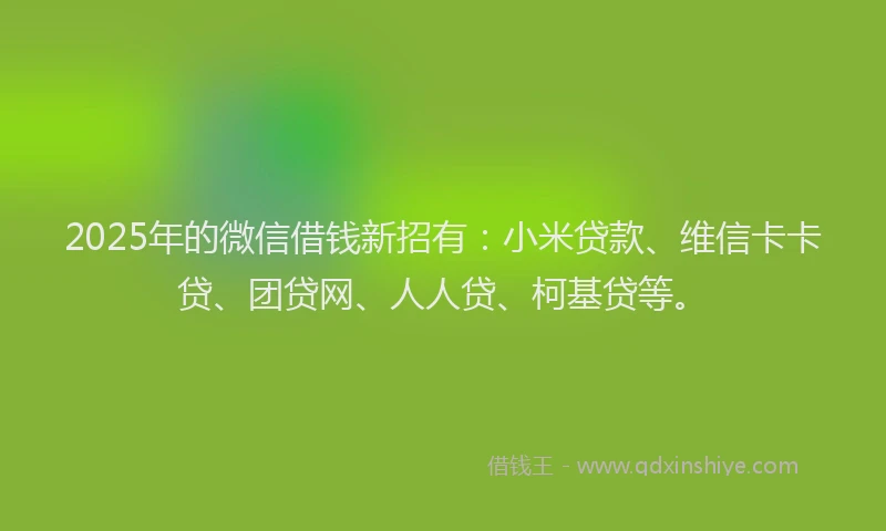 2025年的微信借钱新招有：小米贷款、维信卡卡贷、团贷网、人人贷、柯基贷等。