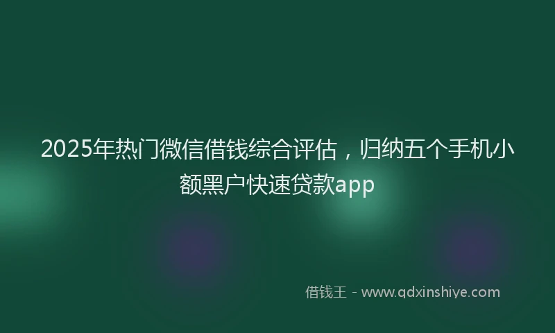2025年热门微信借钱综合评估，归纳五个手机小额黑户快速贷款app