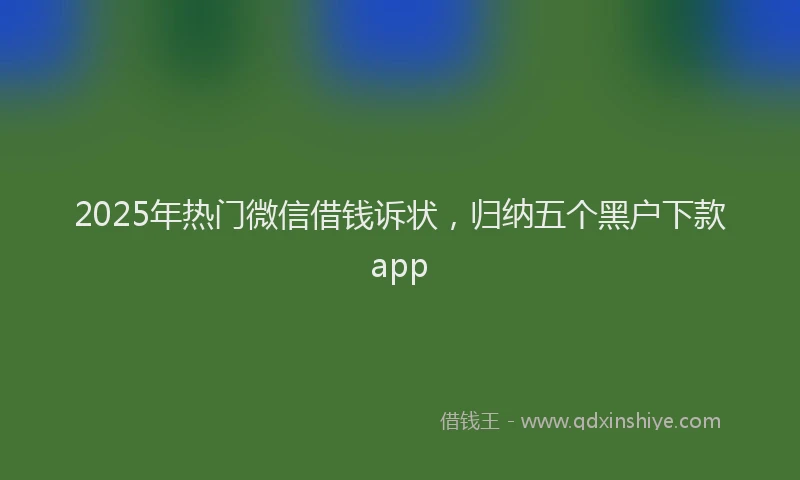 2025年热门微信借钱诉状，归纳五个黑户下款app