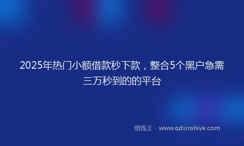 2025年热门小额借款秒下款，整合5个黑户急需三万秒到的的平台
