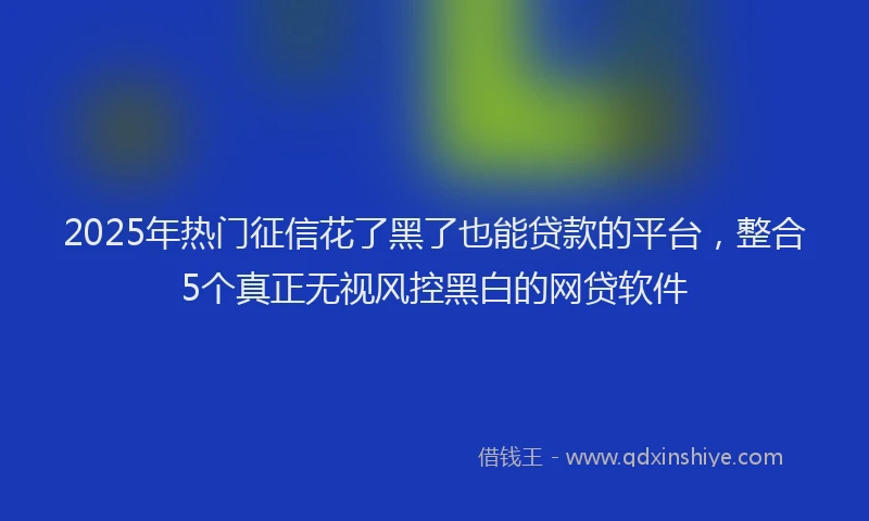 2025年热门征信花了黑了也能贷款的平台，整合5个真正无视风控黑白的网贷软件