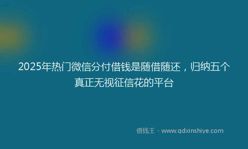 2025年热门微信分付借钱是随借随还，归纳五个真正无视征信花的平台