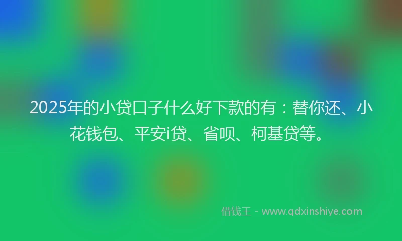 2025年的小贷口子什么好下款的有：替你还、小花钱包、平安i贷、省呗、柯基贷等。