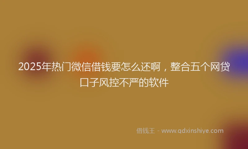 2025年热门微信借钱要怎么还啊，整合五个网贷口子风控不严的软件