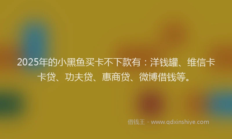 2025年的小黑鱼买卡不下款有：洋钱罐、维信卡卡贷、功夫贷、惠商贷、微博借钱等。