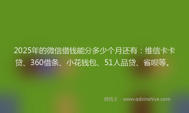 2025年的微信借钱能分多少个月还有：维信卡卡贷、360借条、小花钱包、51人品贷、省呗等。