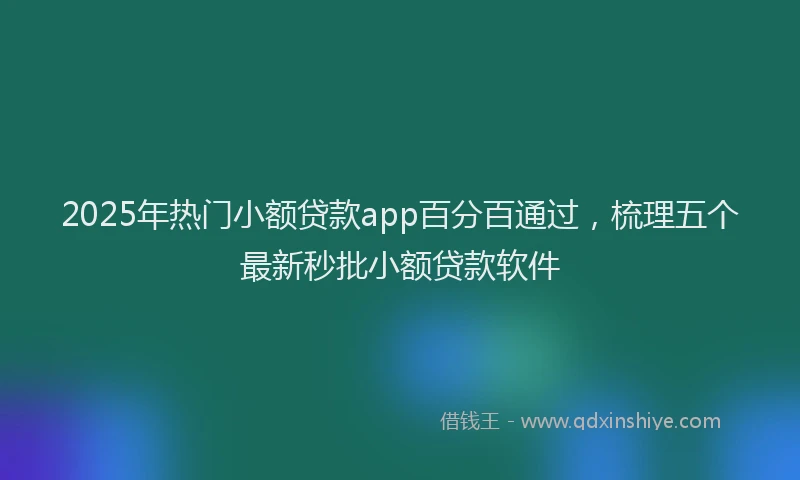 2025年热门小额贷款app百分百通过，梳理五个最新秒批小额贷款软件