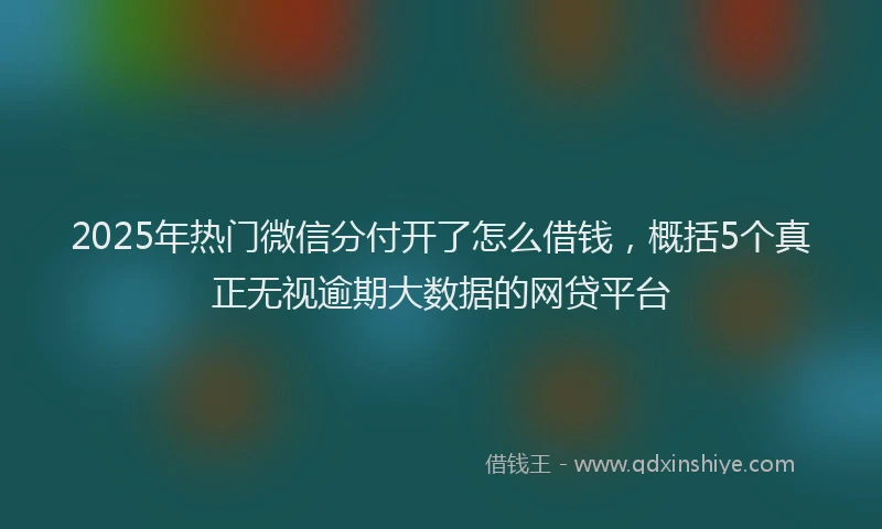 2025年热门微信分付开了怎么借钱，概括5个真正无视逾期大数据的网贷平台