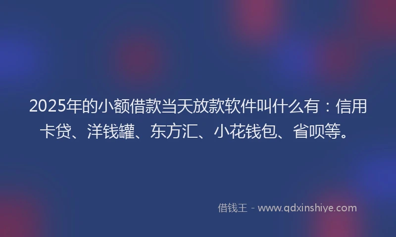 2025年的小额借款当天放款软件叫什么有：信用卡贷、洋钱罐、东方汇、小花钱包、省呗等。