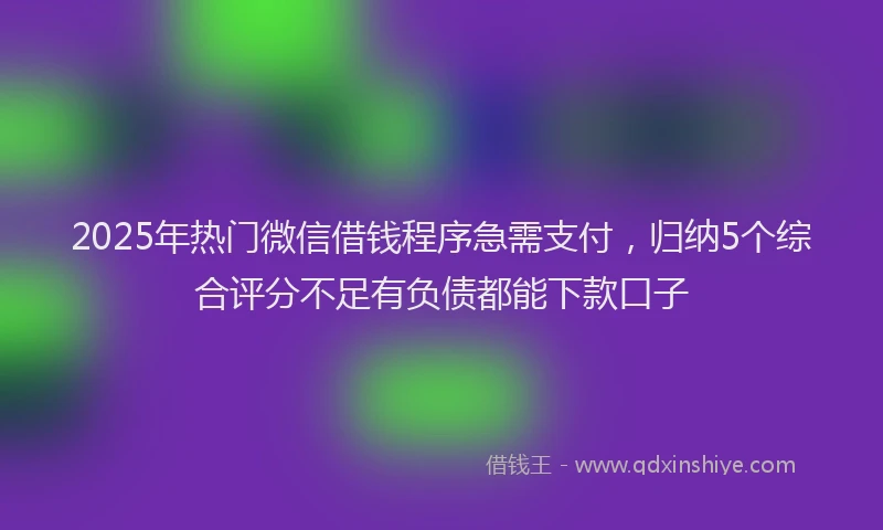 2025年热门微信借钱程序急需支付，归纳5个综合评分不足有负债都能下款口子