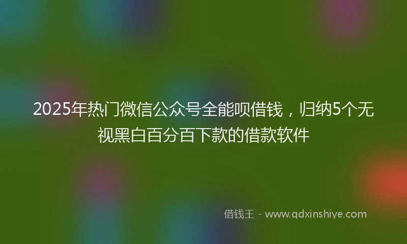 2025年热门微信公众号全能呗借钱，归纳5个无视黑白百分百下款的借款软件