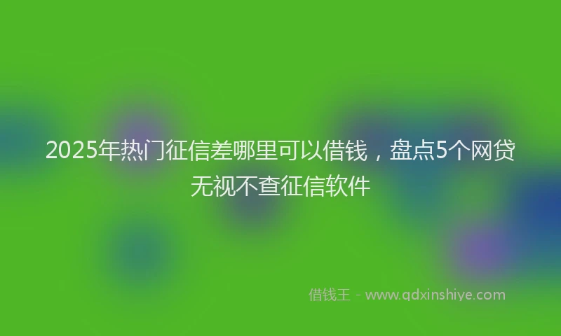 2025年热门征信差哪里可以借钱，盘点5个网贷无视不查征信软件