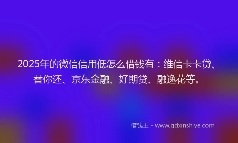 2025年的微信信用低怎么借钱有：维信卡卡贷、替你还、京东金融、好期贷、融逸花等。