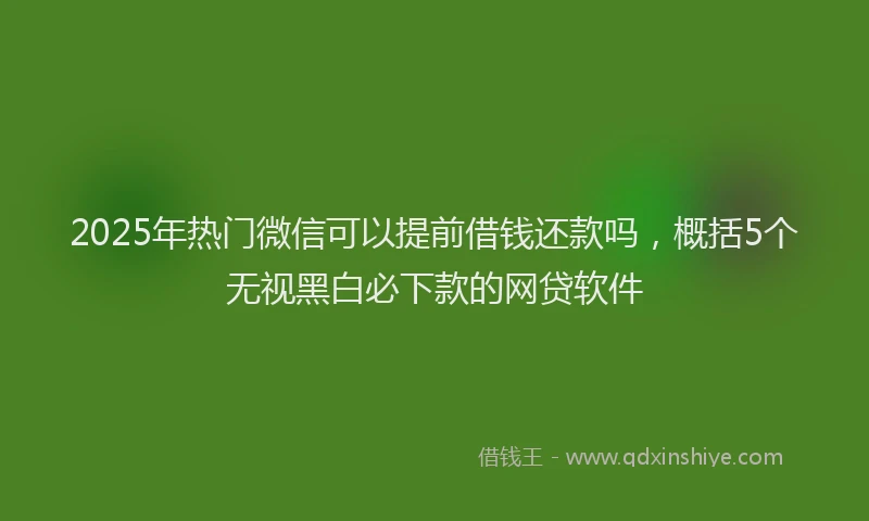 2025年热门微信可以提前借钱还款吗，概括5个无视黑白必下款的网贷软件