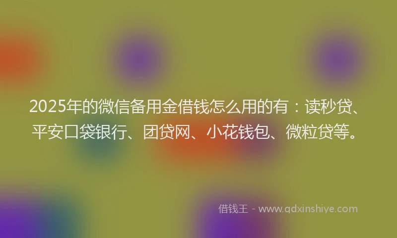 2025年的微信备用金借钱怎么用的有：读秒贷、平安口袋银行、团贷网、小花钱包、微粒贷等。