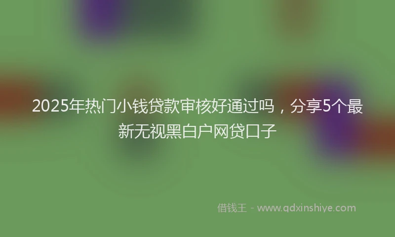 2025年热门小钱贷款审核好通过吗，分享5个最新无视黑白户网贷口子