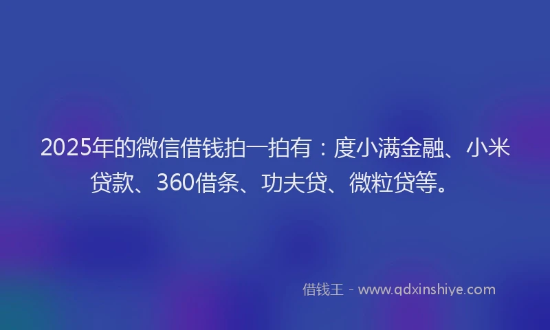 2025年的微信借钱拍一拍有：度小满金融、小米贷款、360借条、功夫贷、微粒贷等。