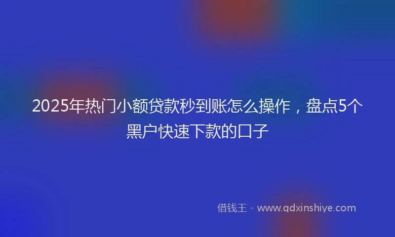 2025年热门小额贷款秒到账怎么操作，盘点5个黑户快速下款的口子