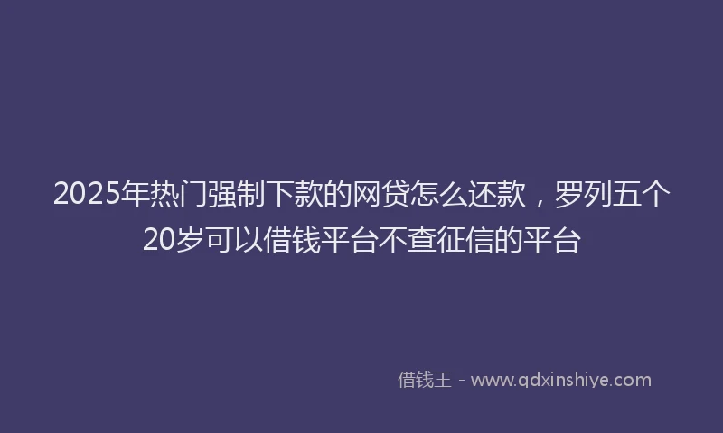2025年热门强制下款的网贷怎么还款，罗列五个20岁可以借钱平台不查征信的平台