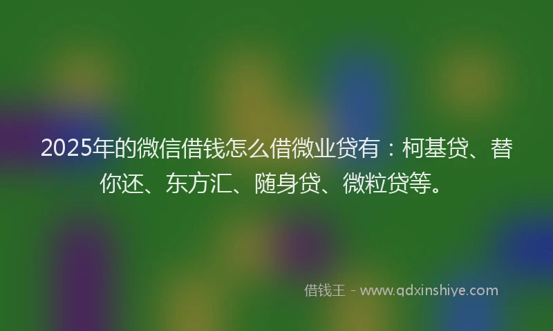2025年的微信借钱怎么借微业贷有：柯基贷、替你还、东方汇、随身贷、微粒贷等。