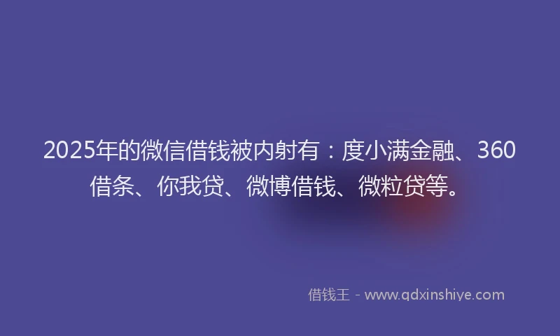 2025年的微信借钱被内射有：度小满金融、360借条、你我贷、微博借钱、微粒贷等。