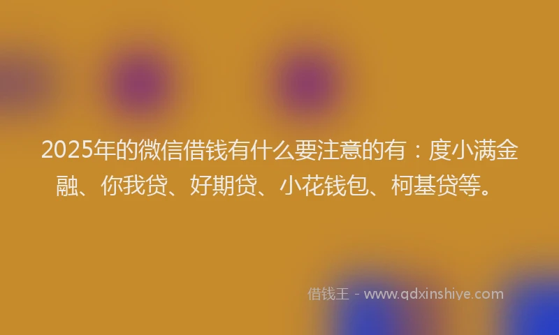 2025年的微信借钱有什么要注意的有：度小满金融、你我贷、好期贷、小花钱包、柯基贷等。