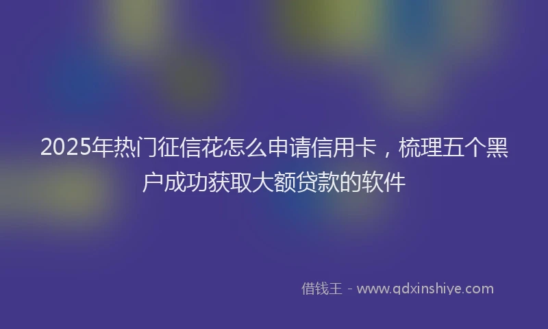 2025年热门征信花怎么申请信用卡，梳理五个黑户成功获取大额贷款的软件