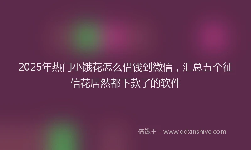2025年热门小饿花怎么借钱到微信，汇总五个征信花居然都下款了的软件