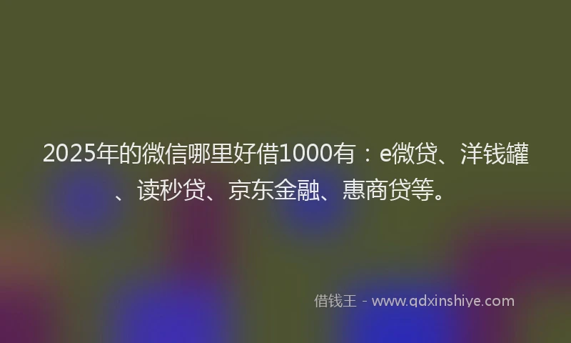 2025年的微信哪里好借1000有：e微贷、洋钱罐、读秒贷、京东金融、惠商贷等。