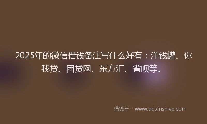 2025年的微信借钱备注写什么好有：洋钱罐、你我贷、团贷网、东方汇、省呗等。