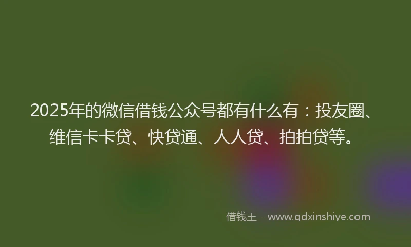 2025年的微信借钱公众号都有什么有：投友圈、维信卡卡贷、快贷通、人人贷、拍拍贷等。