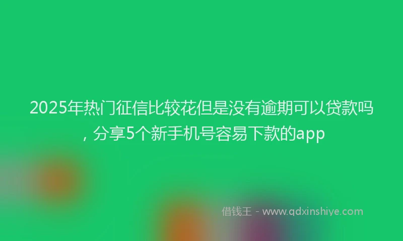 2025年热门征信比较花但是没有逾期可以贷款吗，分享5个新手机号容易下款的app
