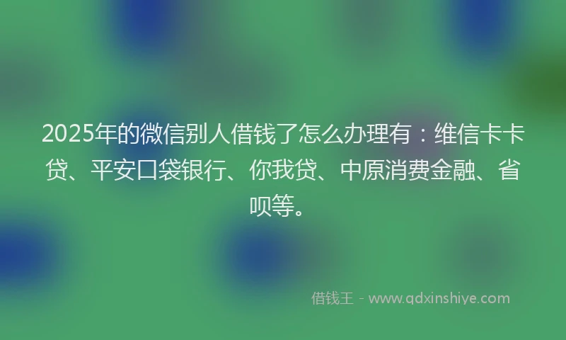 2025年的微信别人借钱了怎么办理有：维信卡卡贷、平安口袋银行、你我贷、中原消费金融、省呗等。