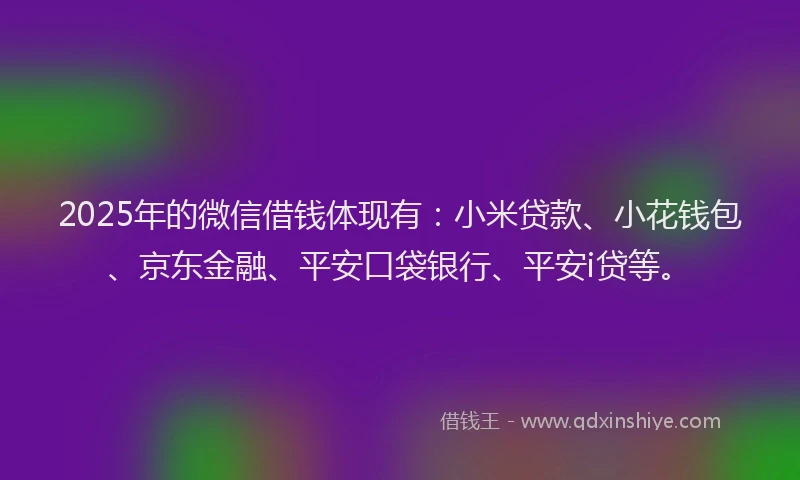 2025年的微信借钱体现有：小米贷款、小花钱包、京东金融、平安口袋银行、平安i贷等。