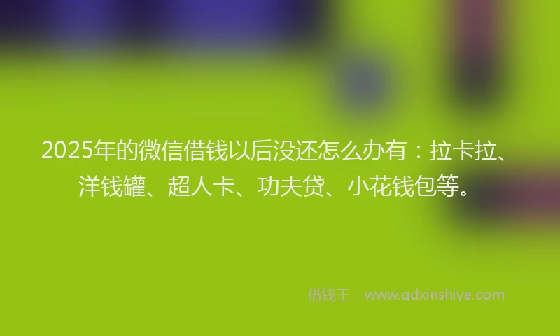 2025年的微信借钱以后没还怎么办有：拉卡拉、洋钱罐、超人卡、功夫贷、小花钱包等。