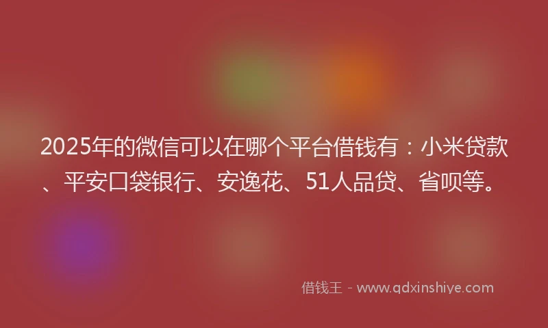 2025年的微信可以在哪个平台借钱有：小米贷款、平安口袋银行、安逸花、51人品贷、省呗等。