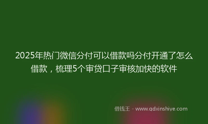 2025年热门微信分付可以借款吗分付开通了怎么借款，梳理5个审贷口子审核加快的软件