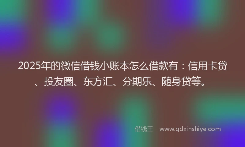 2025年的微信借钱小账本怎么借款有：信用卡贷、投友圈、东方汇、分期乐、随身贷等。